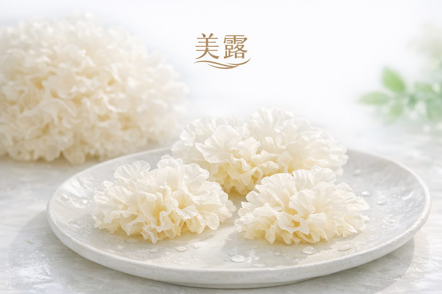 白木耳的養生智慧：從營養學角度解析，探索美露的純粹魅力！